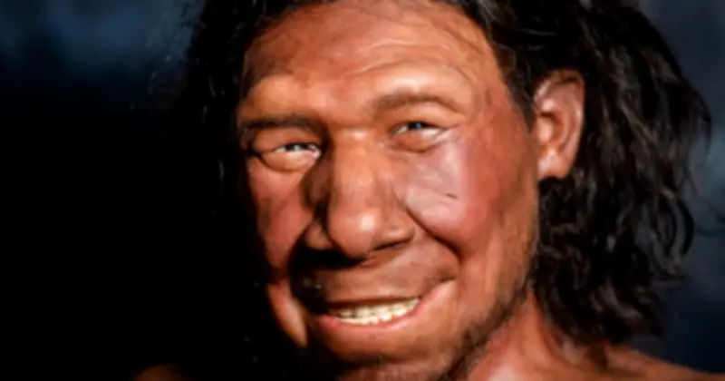 Phát hiện răng Neanderthal 59.000 năm có lỗ khoan: Bằng chứng nha khoa sớm nhất