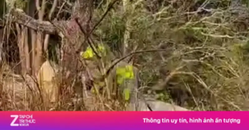 Phát hiện thi thể nam giới trên núi cao ở Lâm Đồng