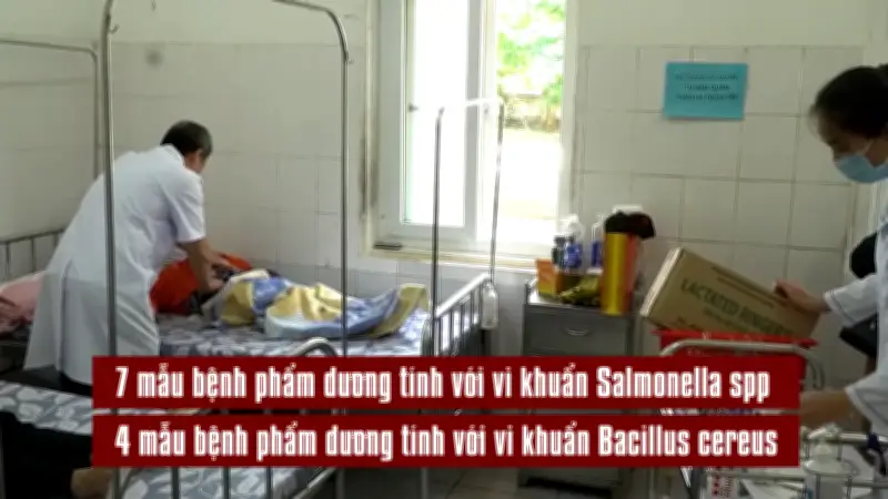 Phát hiện vi khuẩn Salmonella và Bacillus trong vụ ngộ độc bánh mì ở Quảng Trị