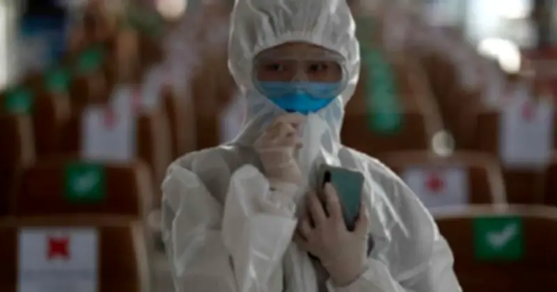 Phát hiện virus corona mới ở dơi Thái Lan có thể lây nhiễm sang người