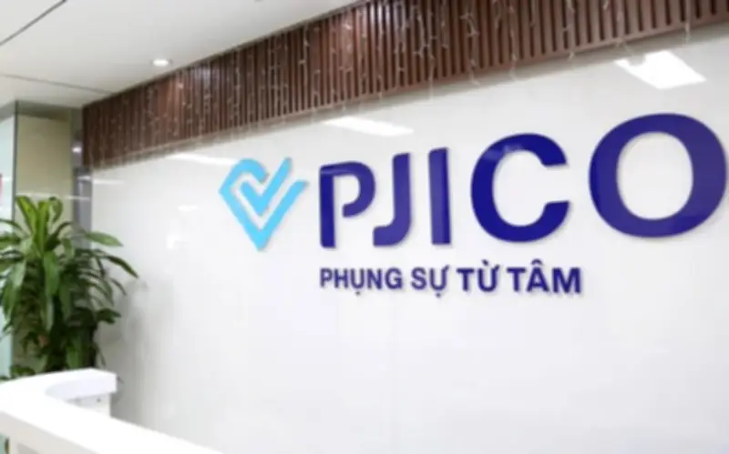 PJICO chi trả cổ tức 12% bằng tiền mặt năm 2025