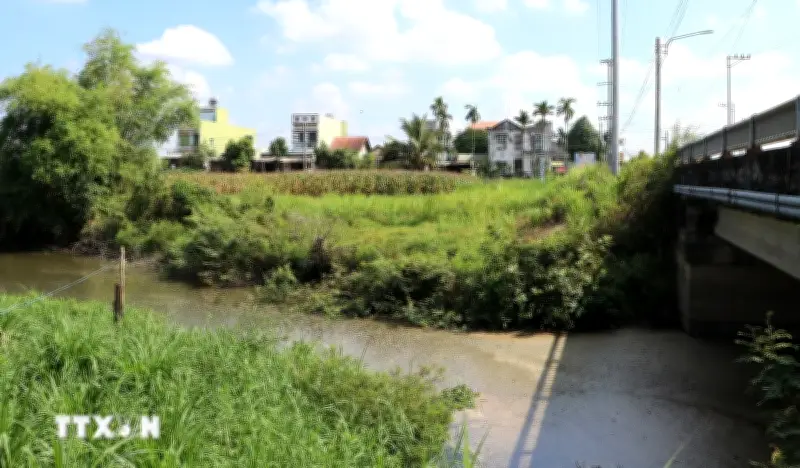 Quảng Ngãi xác định nguyên nhân ban đầu gây ô nhiễm kênh Chìm Sơn Tịnh