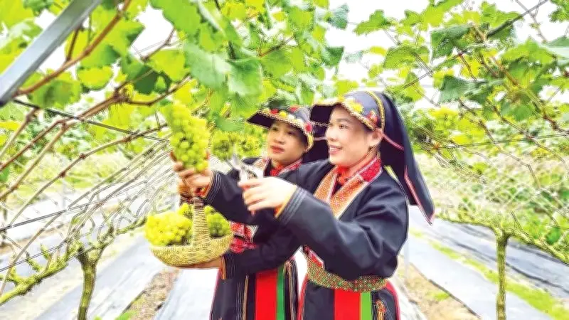 Quảng Ninh nâng tầm sản phẩm OCOP theo hướng chuẩn hóa, hiện đại và bền vững