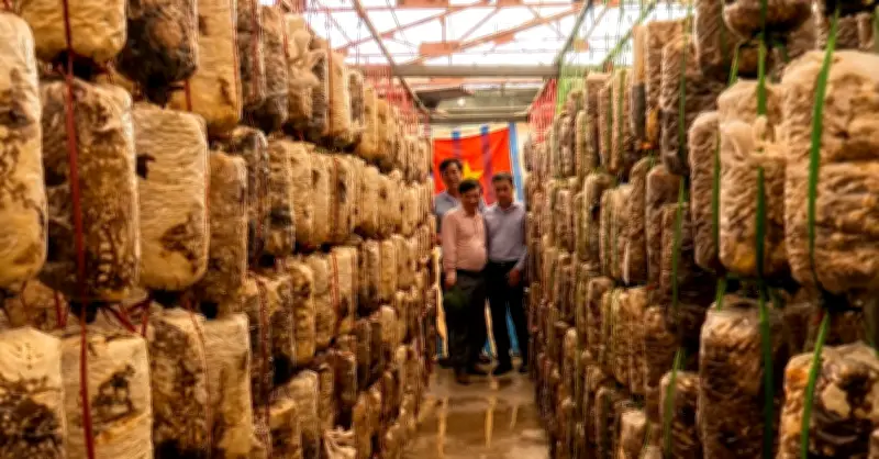 Quảng Trị giảm nghèo thông tin, tăng tốc trí thức hóa nông dân
