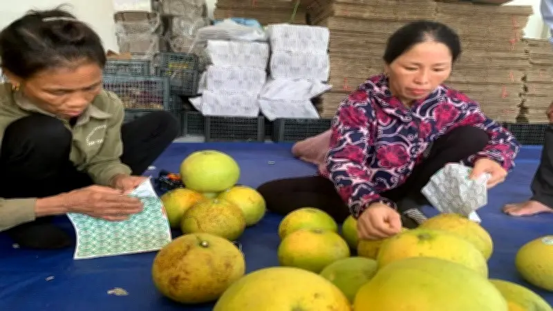 Quy định mới về bảo vệ quyền sở hữu trí tuệ và trách nhiệm doanh nghiệp