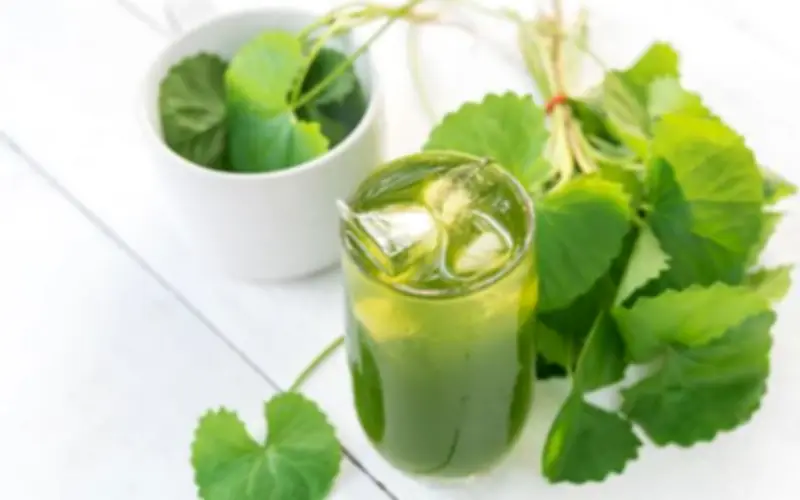 Rau má: Lợi ích sức khỏe và những ai không nên dùng