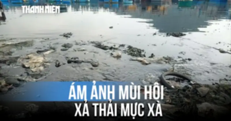 Rùng mình nước thải đen đặc bốc mùi hôi thối từ đầm dê giữa lòng phố