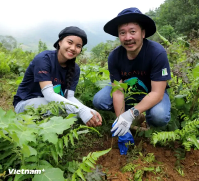 Rừng xanh lên vì tương lai bền vững: Thêm hy vọng cho lá phổi xanh Tây Bắc