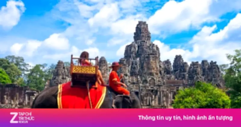 Sự bất lực tập nhiễm: Bài học từ những con voi ở Angkor Wat