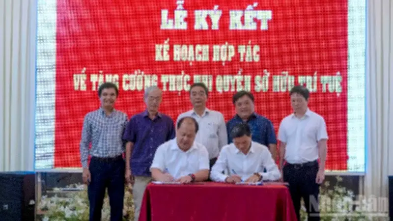 Sò huyết Cà Mau được cấp chỉ dẫn địa lý, cơ hội nâng tầm thương hiệu