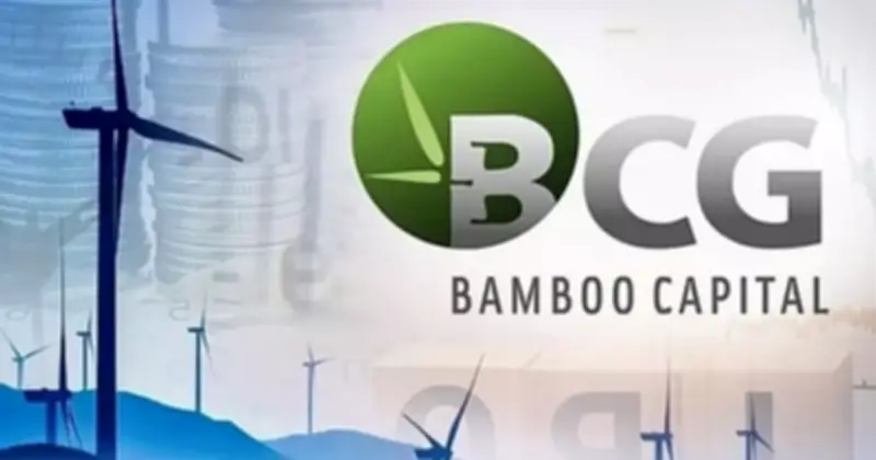 Số phận cổ phiếu Bamboo Capital: BCG đặt mục tiêu khôi phục giao dịch sau kiểm toán