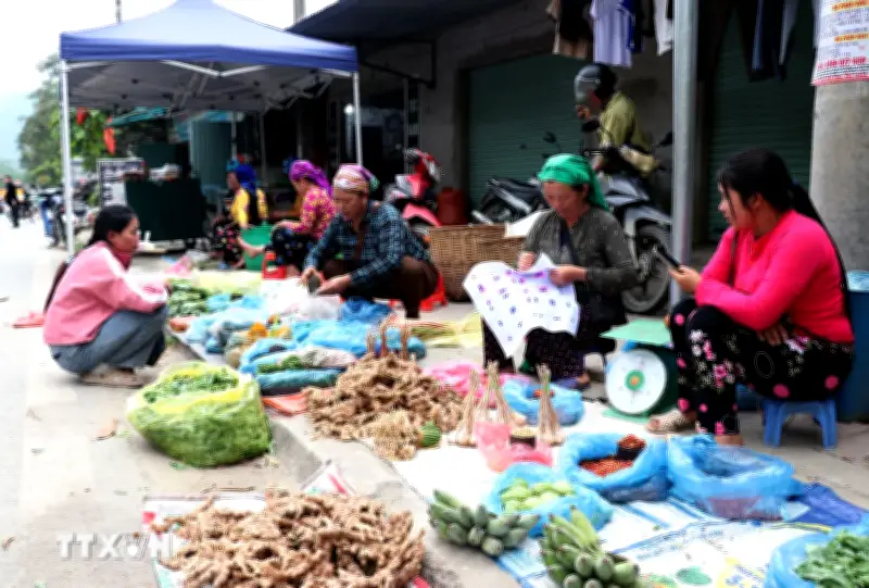 Sắc màu nhộn nhịp nơi chợ vùng cao Tuyên Quang
