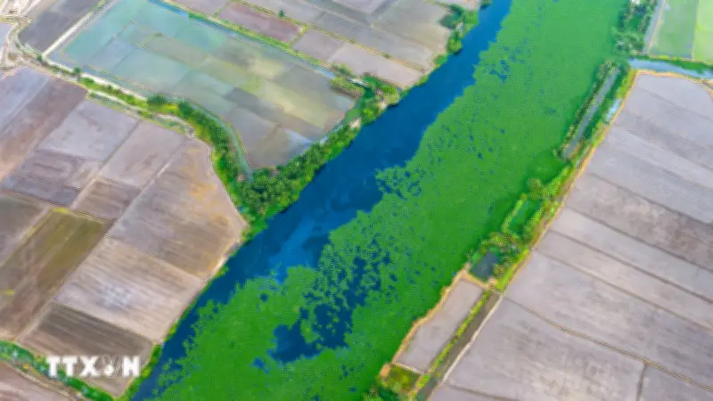 Sông Vàm Cỏ Đông ở Tây Ninh bị ô nhiễm nghiêm trọng