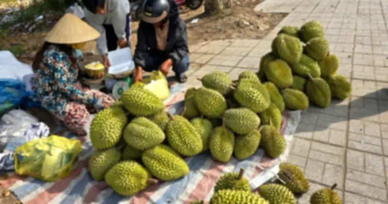 Sầu riêng miền Tây rớt giá thảm, nhà vườn mang ra lề đường bán lẻ