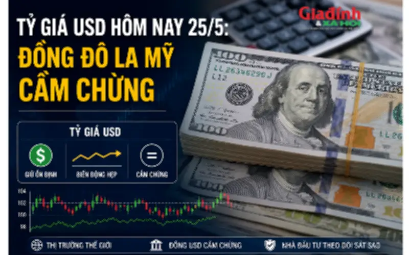 Tỷ giá USD hôm nay 25/5: Đồng đô la Mỹ cam chịu