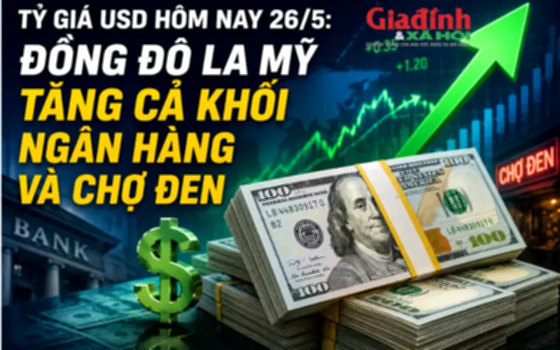 Tỷ giá USD hôm nay 26/5: Đồng đô la Mỹ tăng ở cả ngân hàng và chợ đen