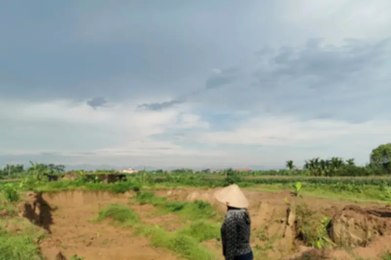 Đất nông nghiệp ở Hưng Yên bị móc trộm hàng nghìn mét khối