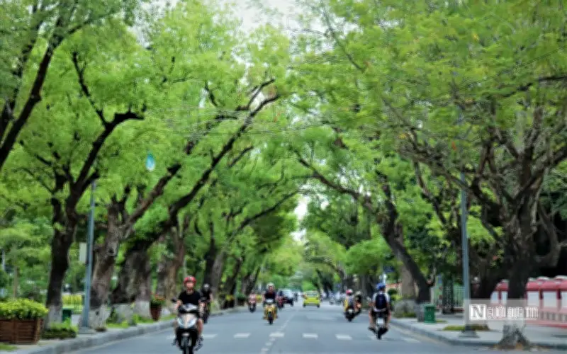 Đặt tên đường ở Huế: Giữa bản sắc di sản và khát vọng đô thị thông minh