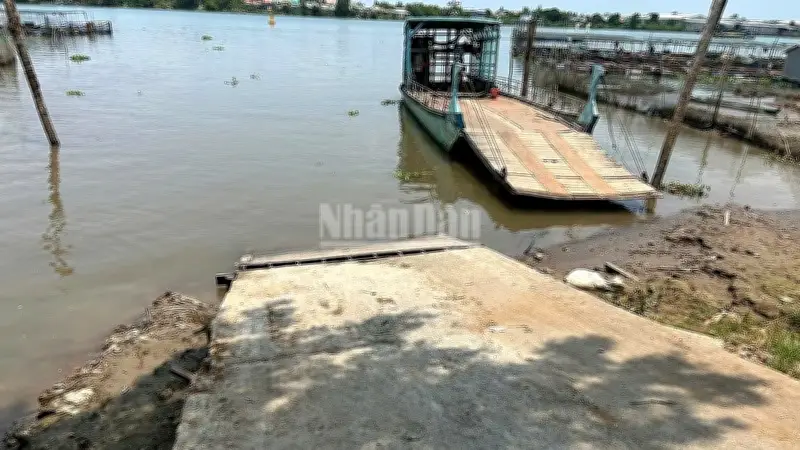 Tai nạn thương tâm tại bến phà Đồng Tháp, một người tử vong