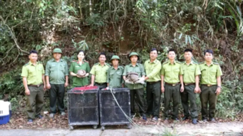 Thả 5 cá thể động vật hoang dã về Vườn Quốc gia Chư Yang Sin