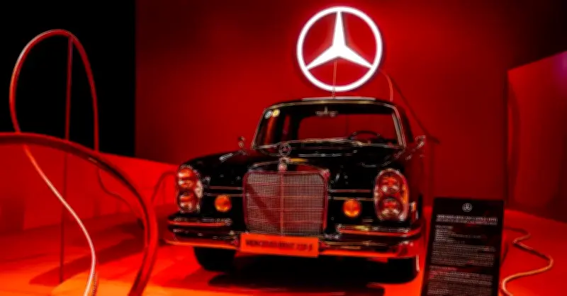 Thú chơi Mercedes cổ và hành trình gìn giữ di sản giữa lòng Việt Nam