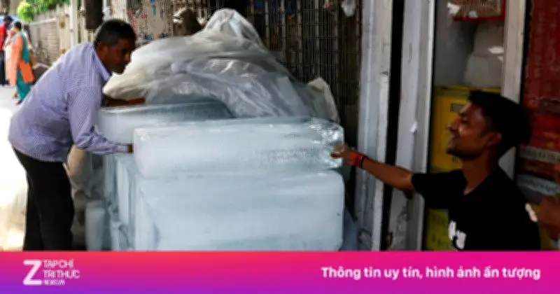 Thế giới oằn mình chống chọi với nắng nóng dị thường kỷ lục