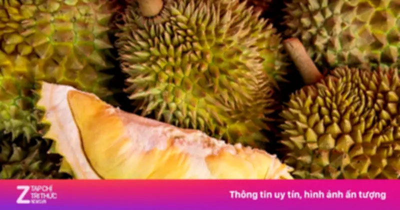Thủ phủ sầu riêng Thái Lan tiêu điều sau bão, nông dân khóc ròng