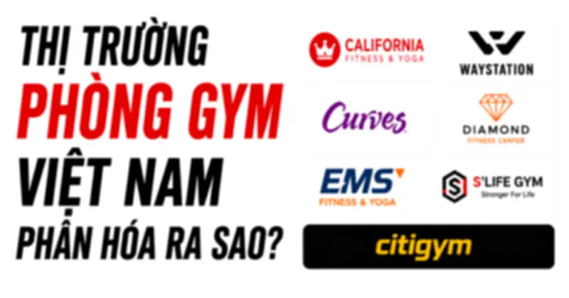 Thị trường gym chuỗi Việt Nam biến động: Waystation nổi lên, chuỗi truyền thống thu hẹp