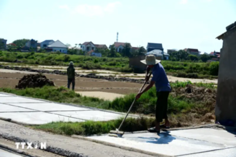Thanh Hóa: Điểm dân tát bắt mưu sinh trên đồng giữa trời nắng nóng