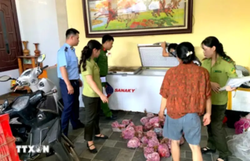 Thanh Hóa phát hiện, thu giữ 290 cá thể có hương cấp đông chờ tiêu thụ