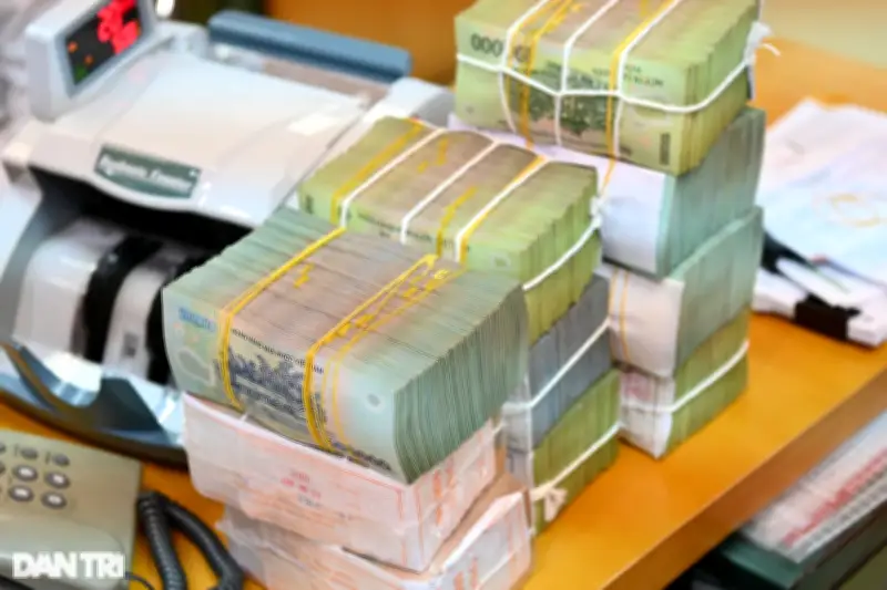 Thanh tra NHNN: Vikki Bank chịu ảnh hưởng nặng từ vụ án cũ, hoạt động suy giảm
