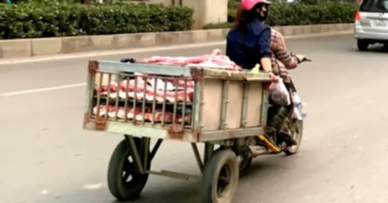 Thương lái chở thịt lợn mất vệ sinh trên đường phố Hà Nội