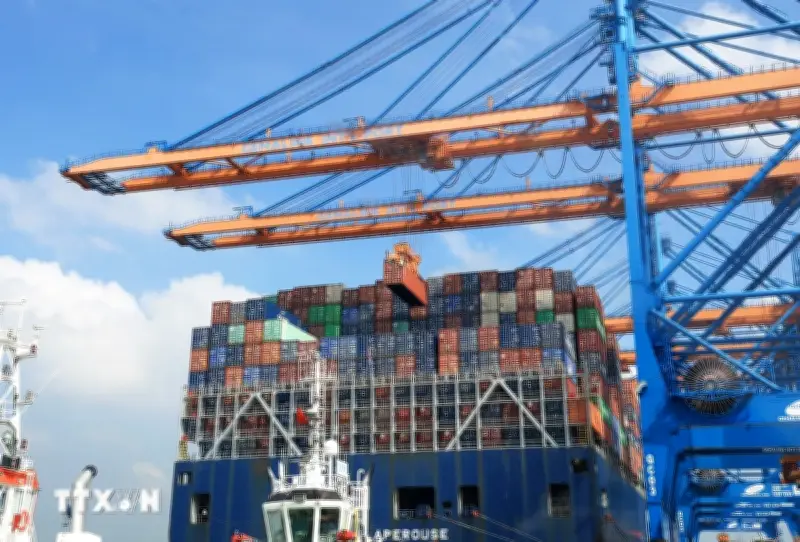 Thành lập Đoàn đàm phán Chính phủ về kinh tế và thương mại quốc tế