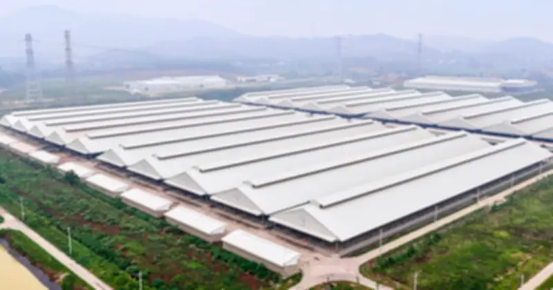 Thịt bò tươi ủ mát Niku-Ichi làm nức lòng thực khách sành ăn