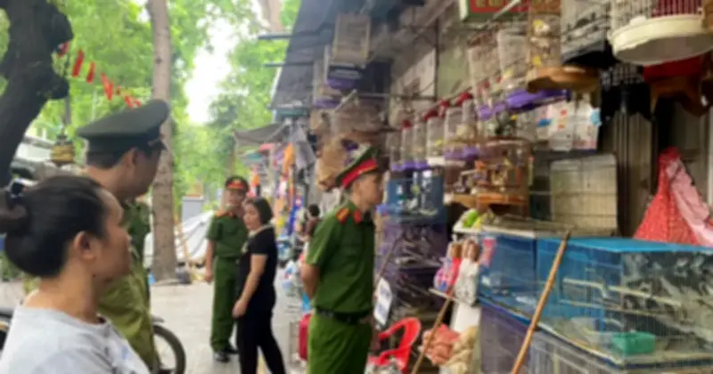 Thu giữ 220 cá thể chim không rõ nguồn gốc tại chợ chim tự phát ở Hà Nội