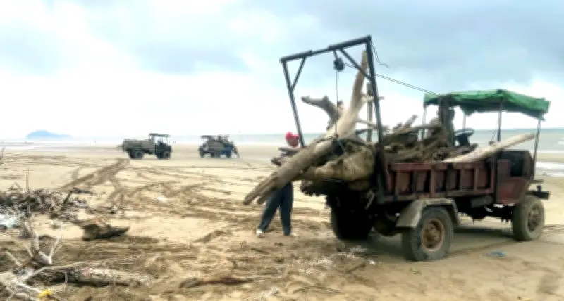 Thu gom hơn 100 tấn bãi chống nguy hiểm dọc biển Thanh Hóa