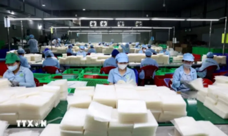 Tiêu chuẩn, điều kiện bổ nhiệm người quản lý doanh nghiệp nhà nước