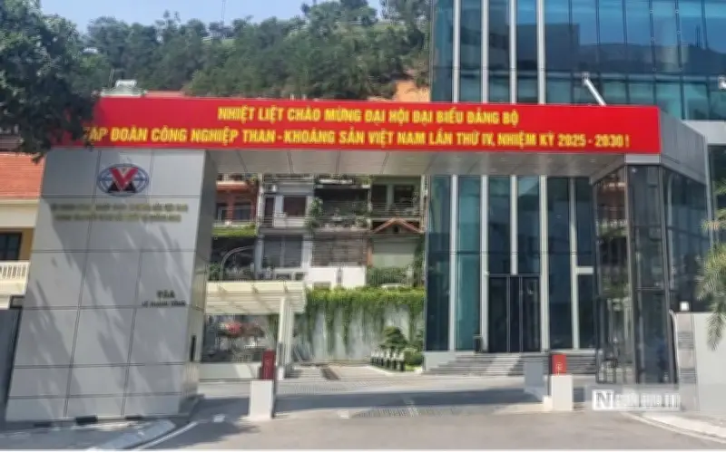 TKV: Chi phí quản lý vượt 8.000 tỷ đồng dù doanh thu giảm