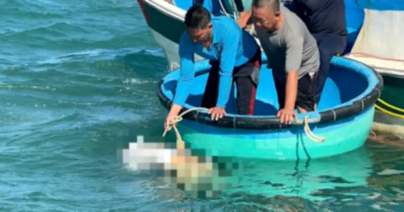 Tìm thấy thi thể thợ hàn mất tích trong vụ cháy tàu dầu ở Lâm Đồng