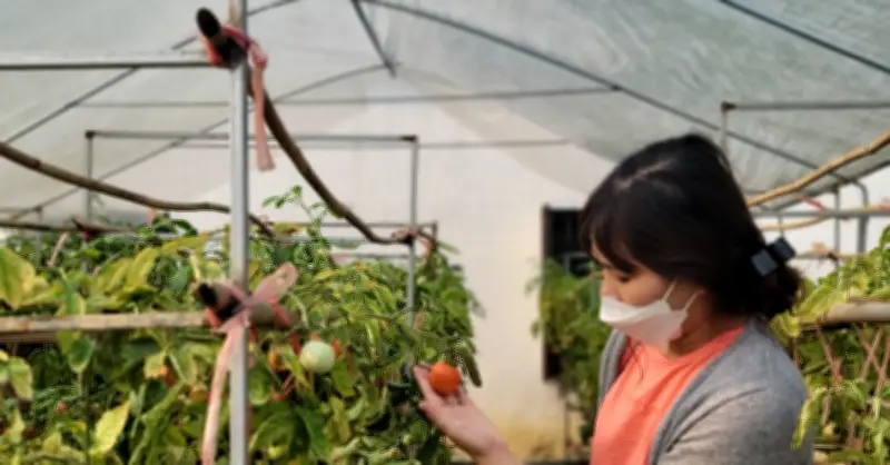 Tân Yên tập trung giảm nghèo thông tin, tái cơ cấu nông nghiệp sau sáp nhập