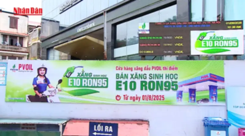 Tăng cường tuyên truyền chuyển đổi sang xăng E10 đến năm 2026