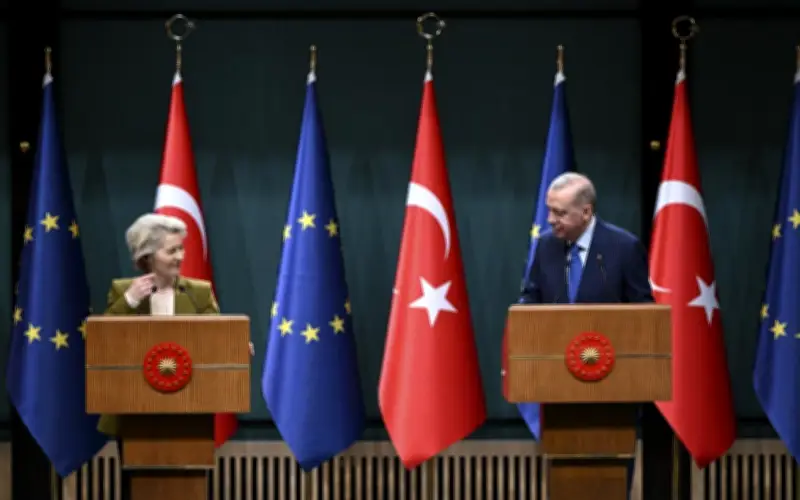 Tổng thống Erdoğan: Thổ Nhĩ Kỳ là yếu tố không thể thiếu của châu Âu