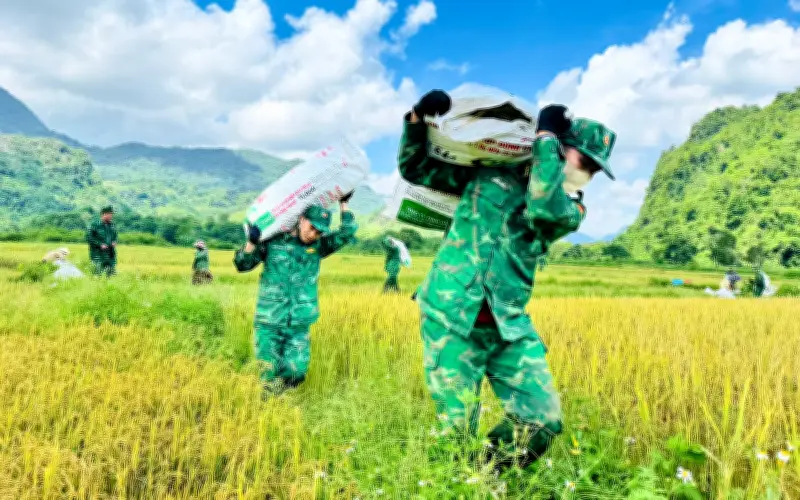 Tình quân dân thắm đượm trên cánh đồng biên giới Quảng Trị