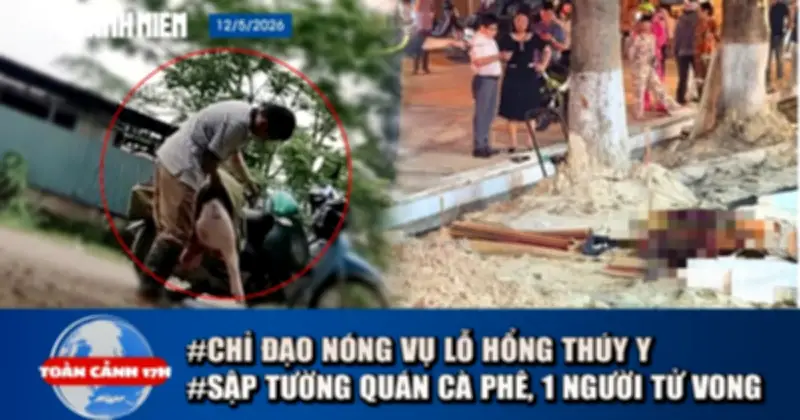 Toàn cảnh 17h: Chỉ đạo nóng vụ thú ý để thương lái tự kiểm dịch, sập tường quán cà phê
