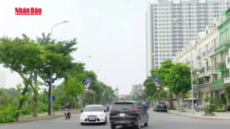 TP.HCM cấm xe xăng chạy dịch vụ công nghệ trong vùng phát thải thấp