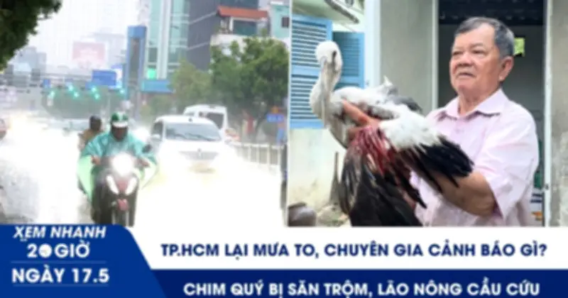 TP.HCM mưa lớn 2 ngày, cành cây ngã đổ; Vườn chim Hai Chìa kêu cứu
