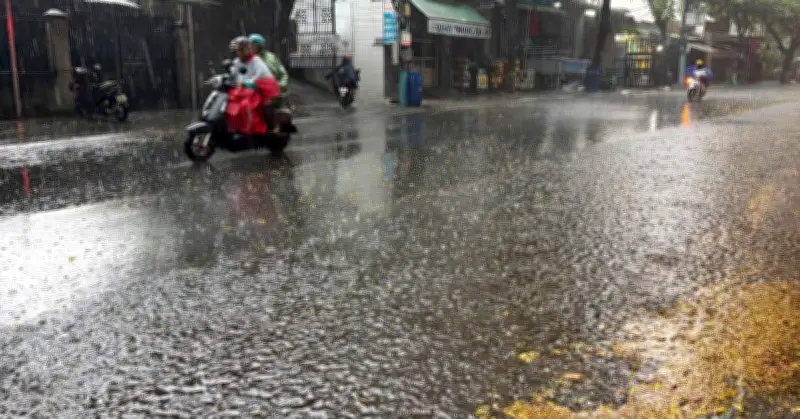 TPHCM đón mưa vàng hạ nhiệt sau chuỗi ngày nắng nóng kỷ lục