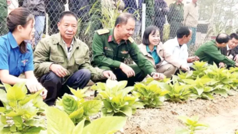 Trí thức trẻ tình nguyện góp phần phát triển vùng biên giới