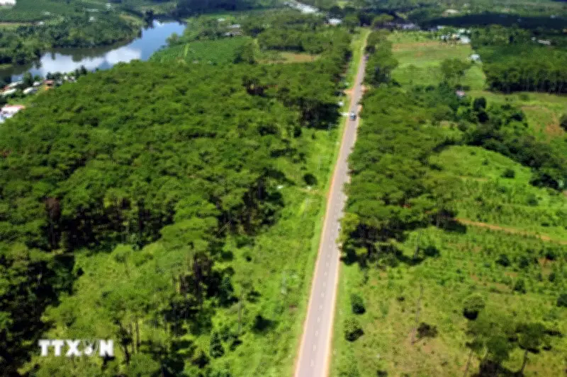 Tranh biển động xáo trộn khi quy hoạch lâm nghiệp quốc gia 2021-2030