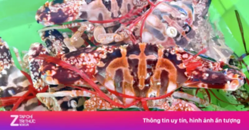 Tranh cãi 7 kg ghẹ đỏ hấp giá hơn 12 triệu đồng ở Sầm Sơn